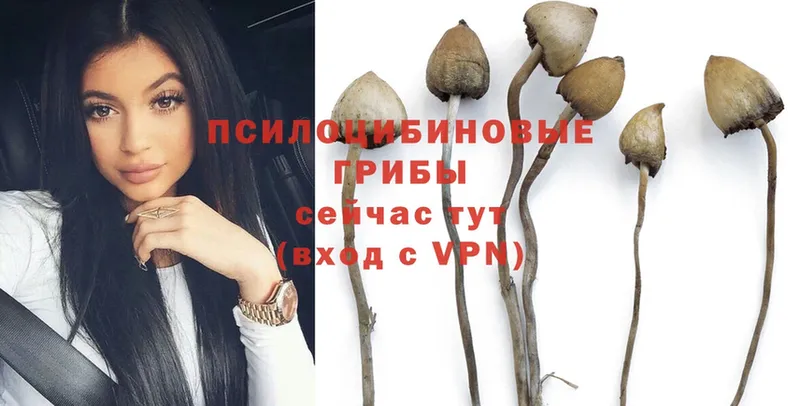 хочу   Армянск  мега вход  Псилоцибиновые грибы Psilocybine cubensis 